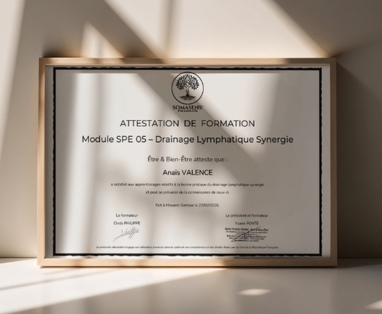 Exemple d'attestation de formation Somasens